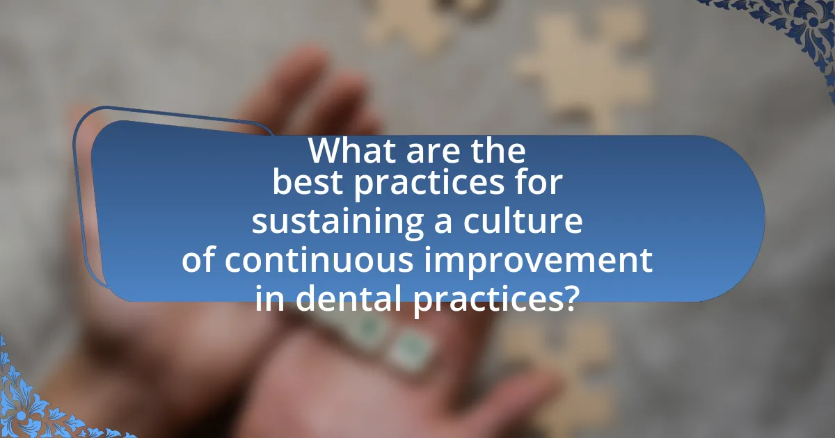 What are the best practices for sustaining a culture of continuous improvement in dental practices?